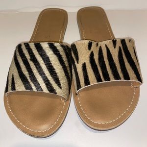 COCONUTS ZEBRA SANDALS